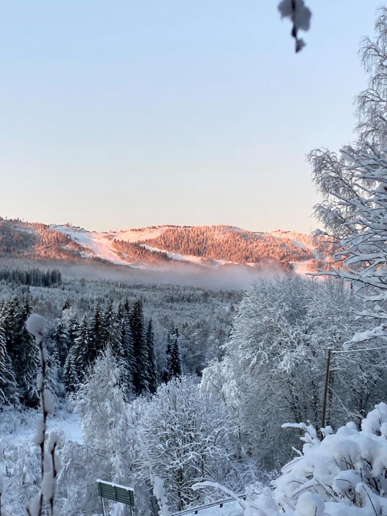 Charmig Villa Med Bastu Och Snabbt Wifi Långav Eksteriør billede
